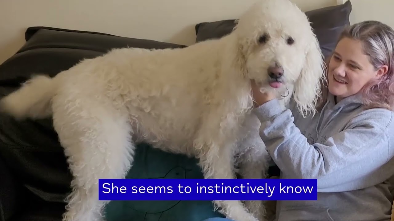 youtube placeholder image